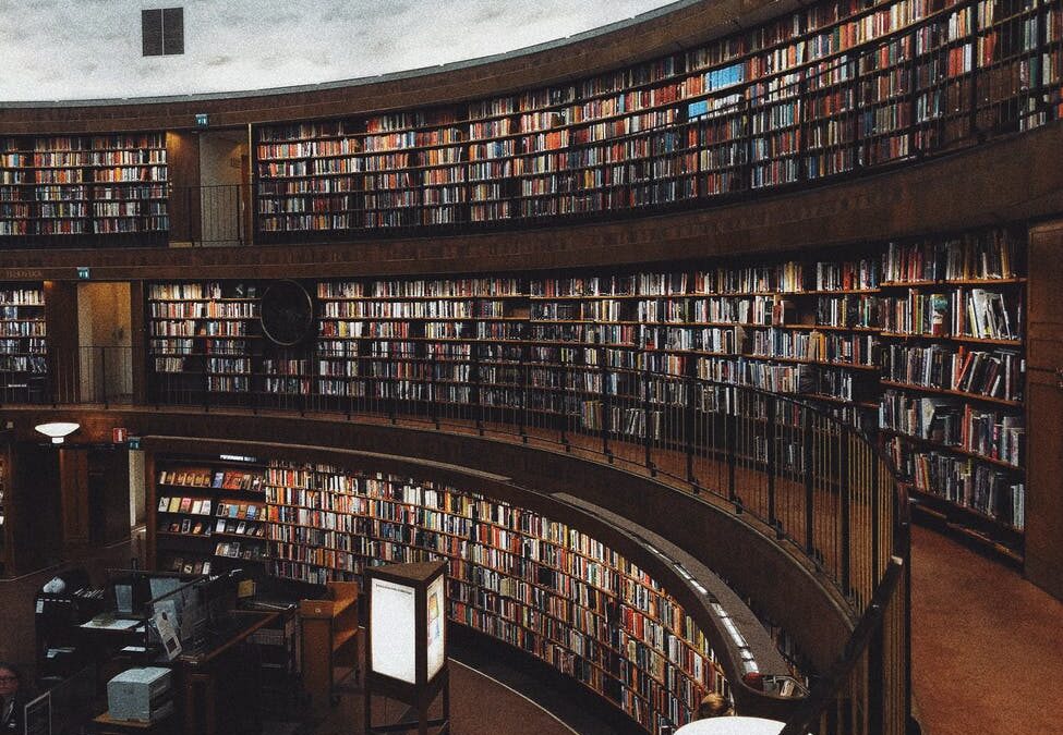 brown wooden shelf with books