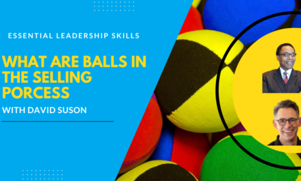 Leadership Skills: How to be a Fearless Leader, Play Balls to the Wall, and Not Drop Balls